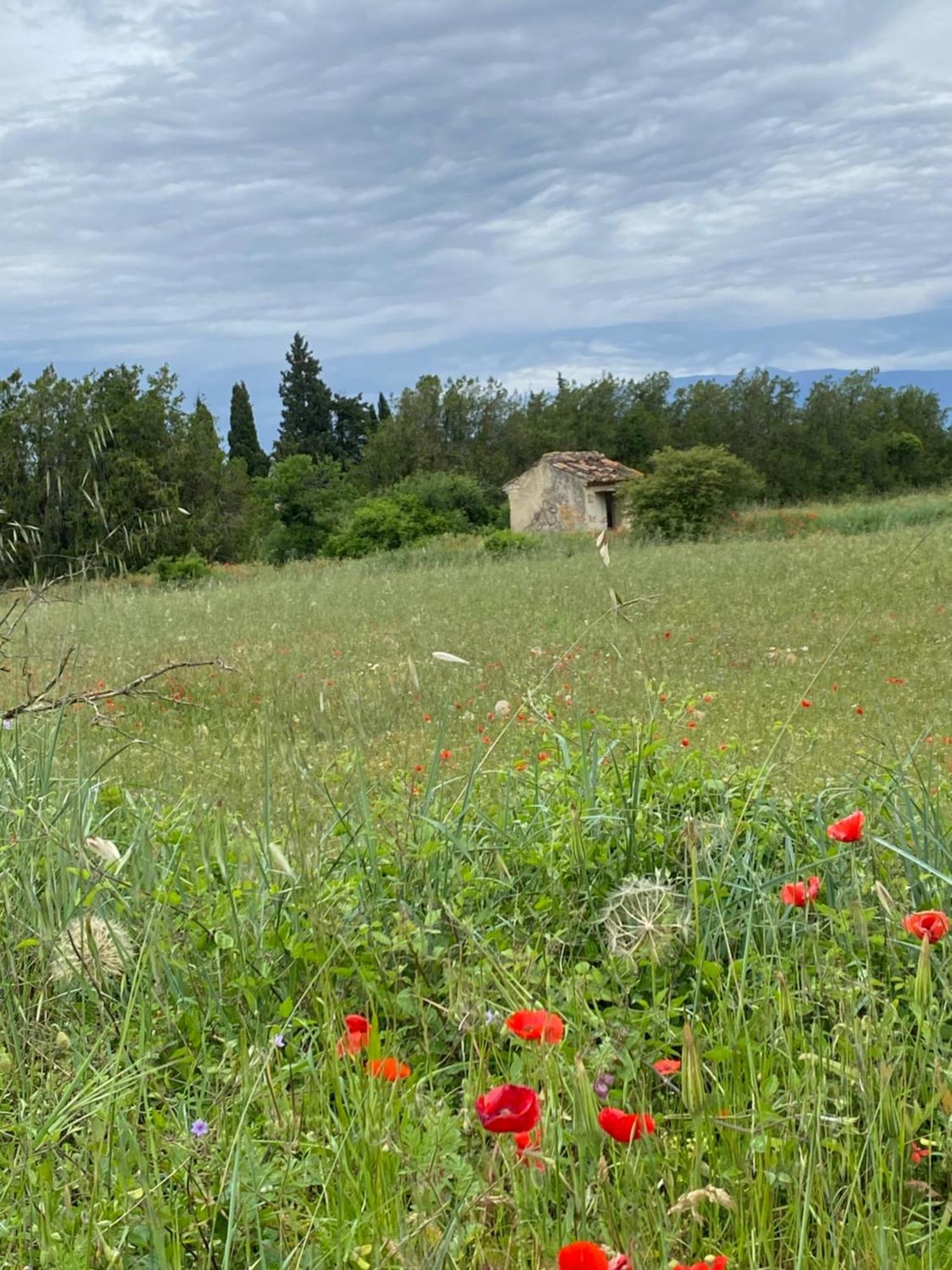 Inspiration Maison Entiere Avec Jardin แปร์นส์-เลส์-ฟงแตนส์ ภายนอก รูปภาพ